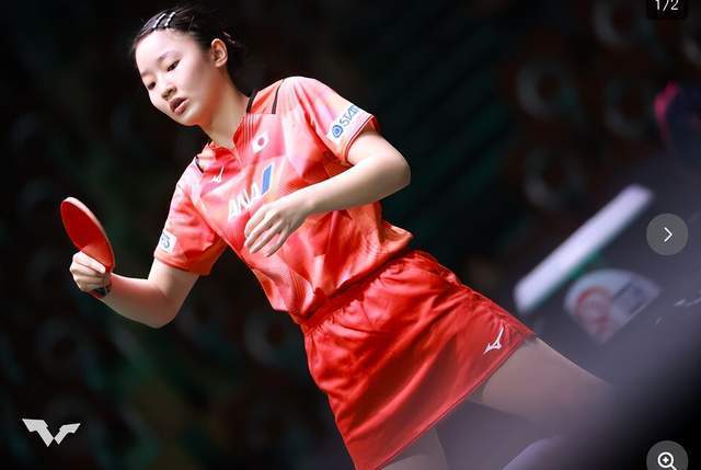 仅铸造了杨 仅铸造了杨